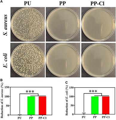 Long-lasting renewable antibacterial N-halamine coating enable dental unit waterlines to prevention and control of contamination of dental treatment water